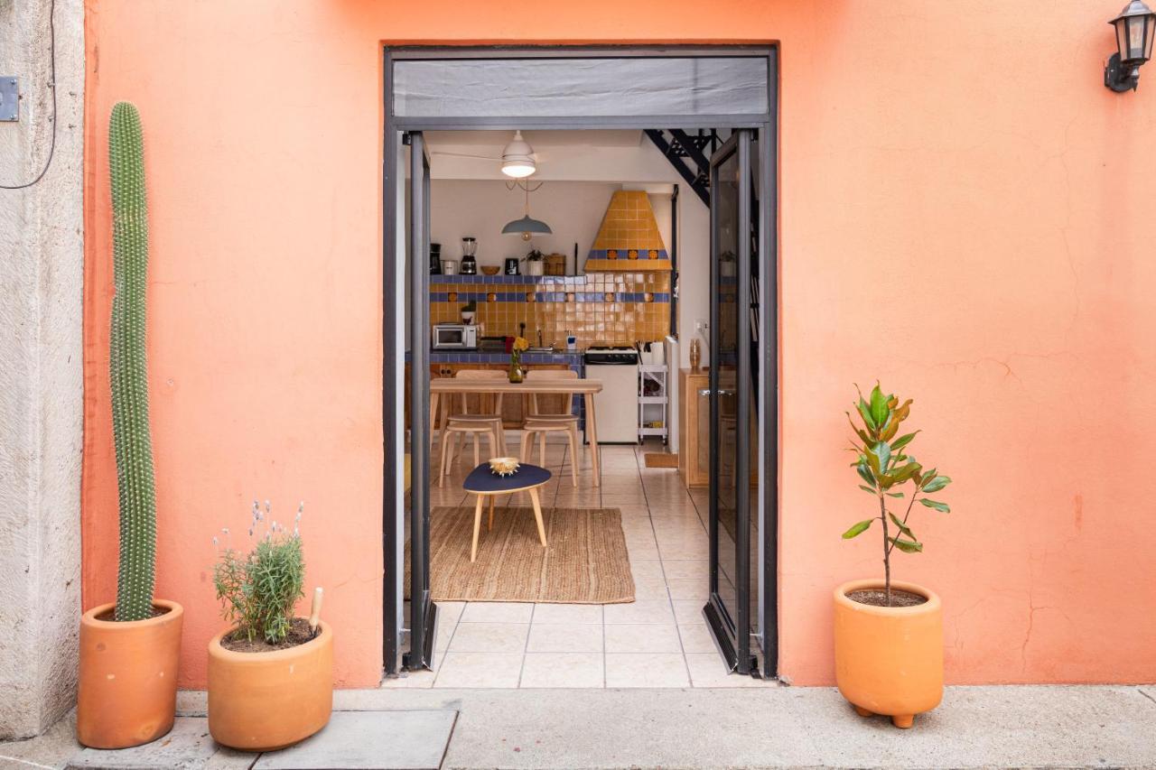 Siento Oaxaca Apartment Bagian luar foto