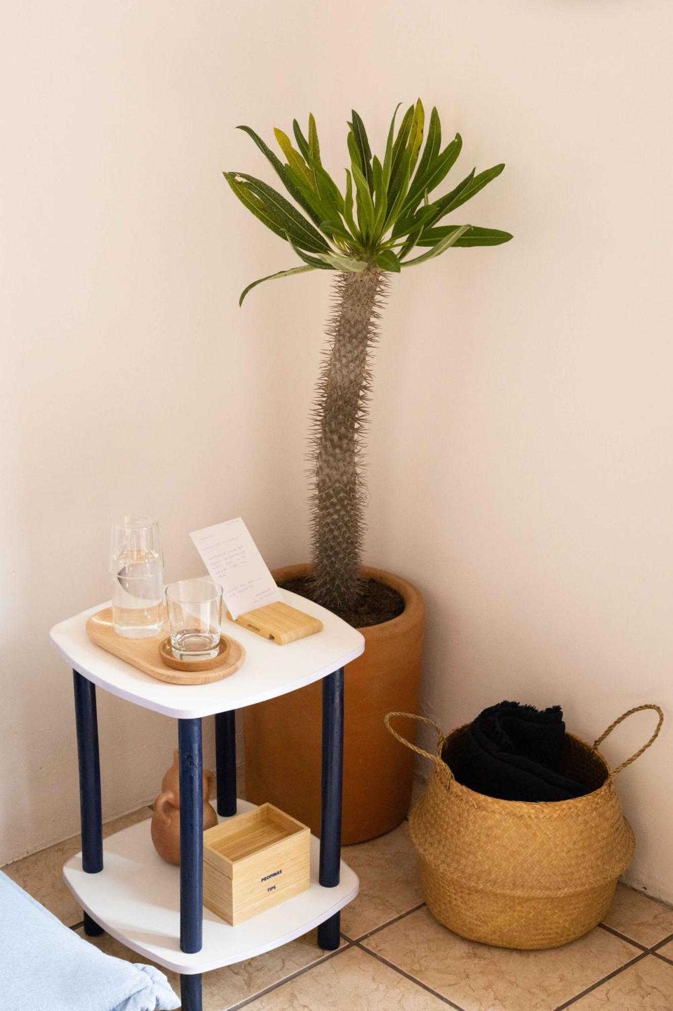 Siento Oaxaca Apartment Bagian luar foto